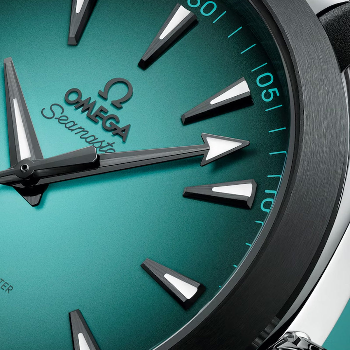 Sorelyne Seamaster Aqua Terra 150 M Watch photo 4